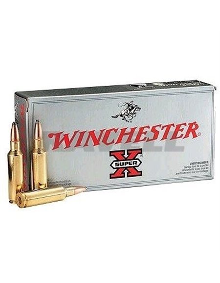 Winchester Super-X .243 Win. PP 100 gr.